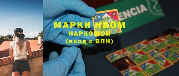 соль ск Алзамай