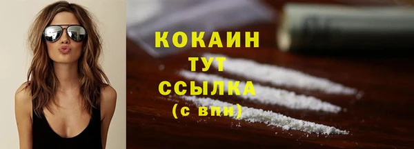 прущий лед Алексин