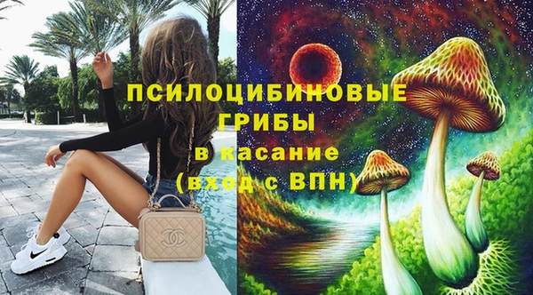 ПСИЛОЦИБИНОВЫЕ ГРИБЫ Семикаракорск