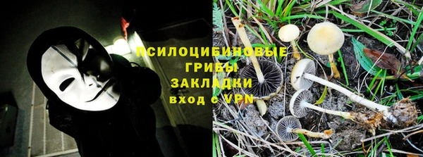 соль ск Алзамай