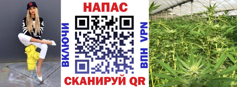 shop состав  Гаврилов Посад  Конопля гибрид 